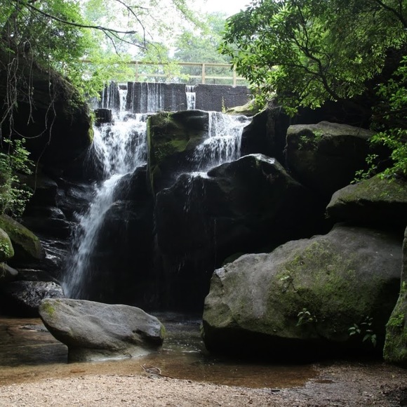 Meet your Posher, Terri - Picture 1 of 1